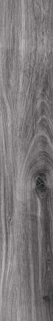 Sherwood Gray - الصورة 6