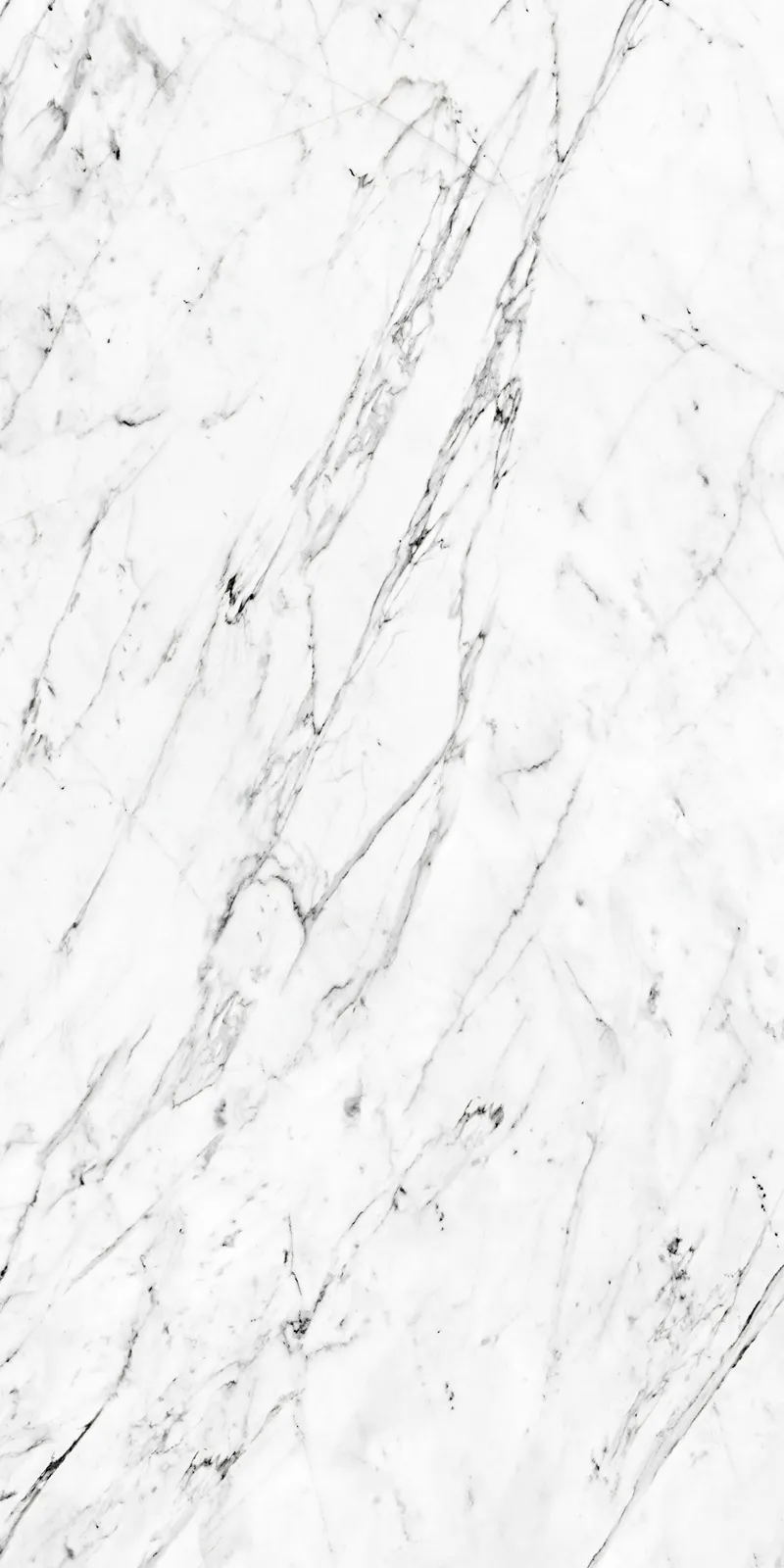 Carrara - تصویر 2