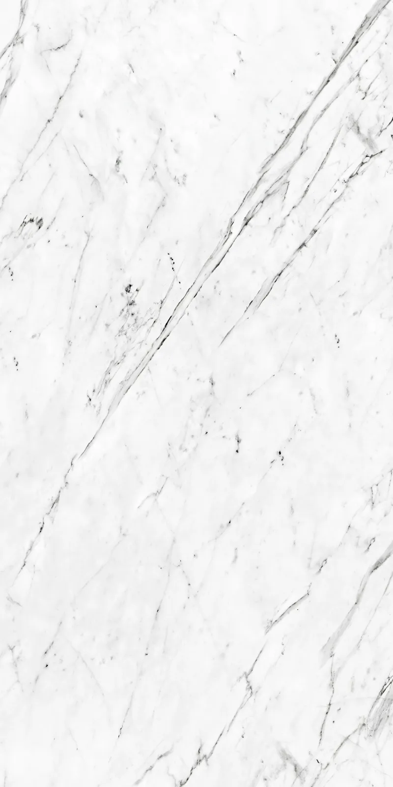 Carrara - تصویر 9