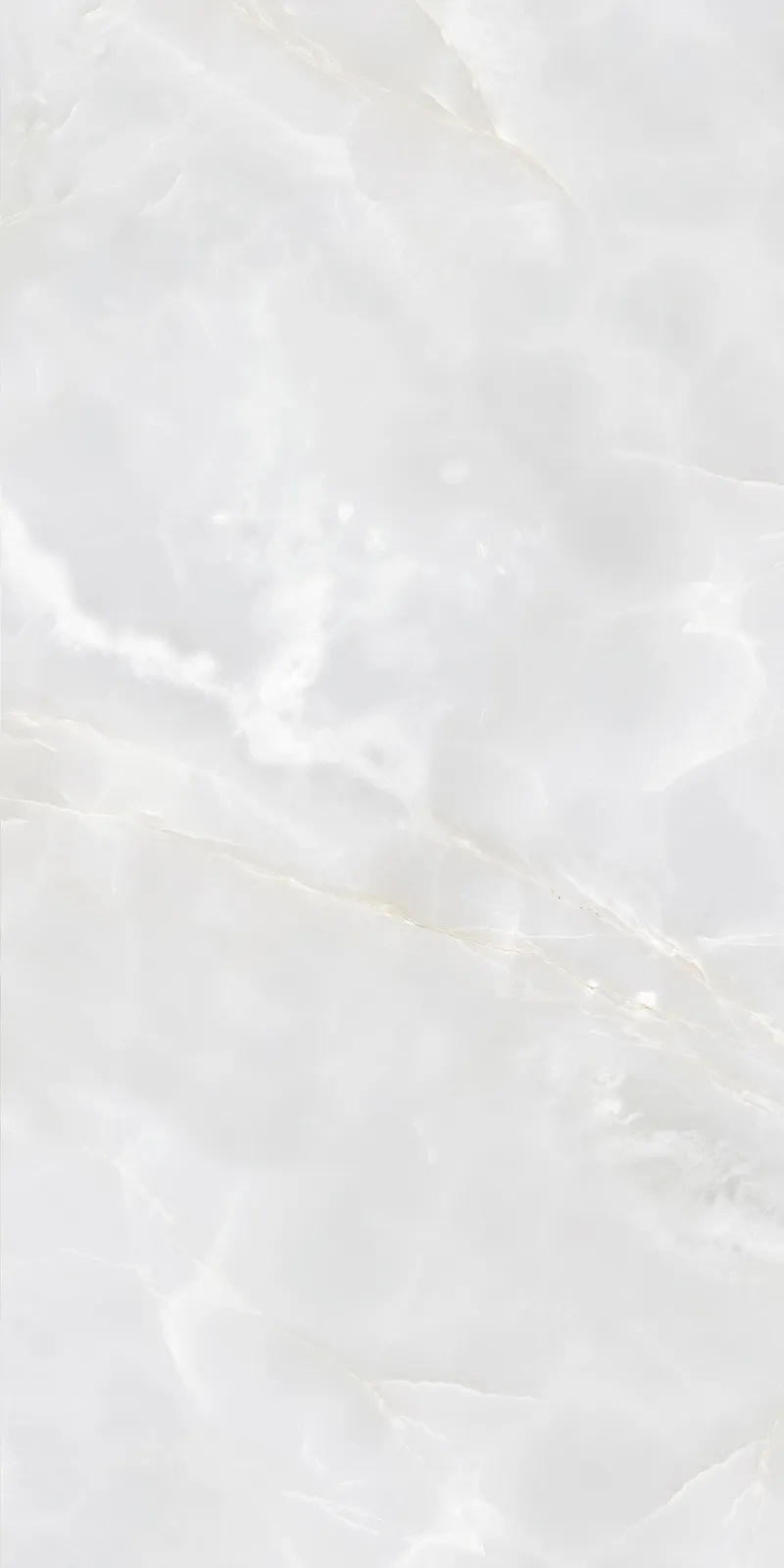 Onyx - تصویر 6