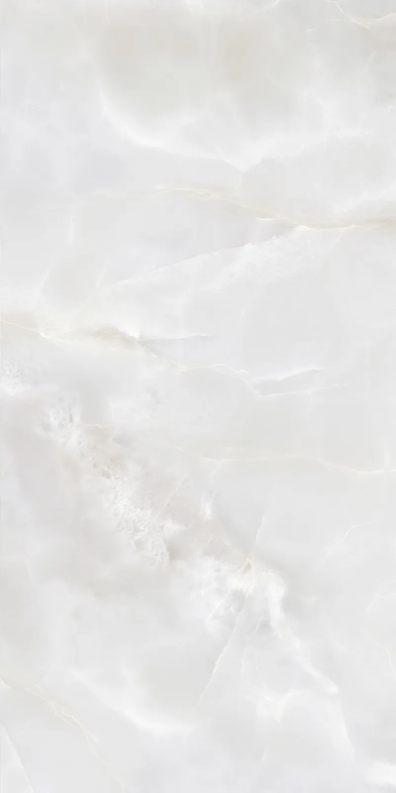 Onyx - تصویر 8